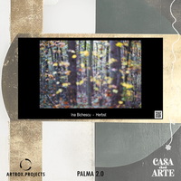 social-herbst-palma.jpg
